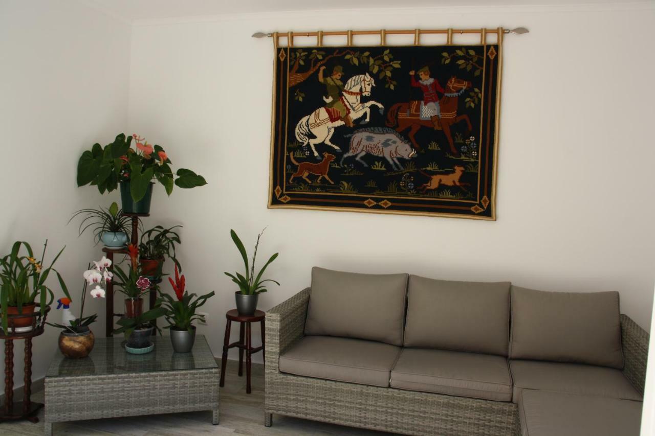 Апартаменти House Of Orchids With Patio Віла-Реал-де-Санту-Антоніу Екстер'єр фото
